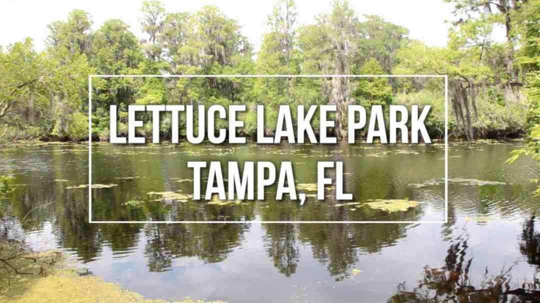 Lettuce Lake Park
